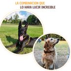 Kit Pelo Brillante y Sedoso - Snack pelo y piel perfecta para mascotas