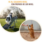 Kit de entrenamiento canino - Sin culpa