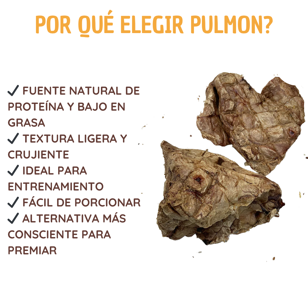 Pulmon de res deshidratado