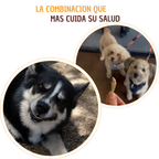 Kit El mas FIT - Snack sin grasas