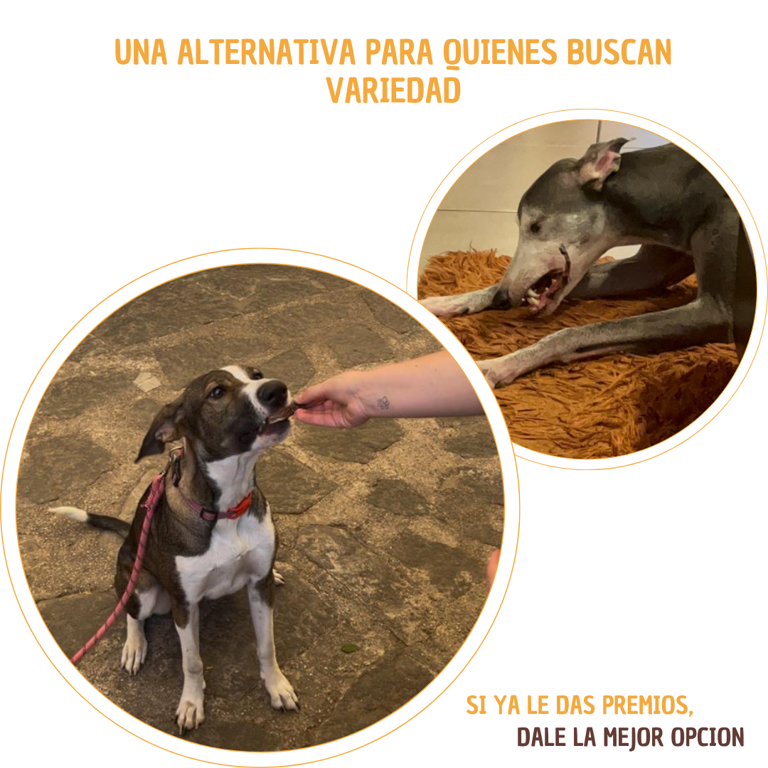 Mix de 2 Higado y pulmon de res deshidratado