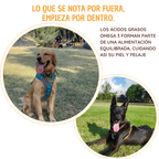 Charal deshidratado para perro