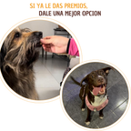 Higado de res deshidratado