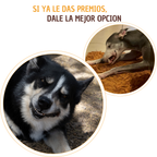 Pulmon de res deshidratado
