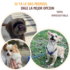 Charal deshidratado para perro
