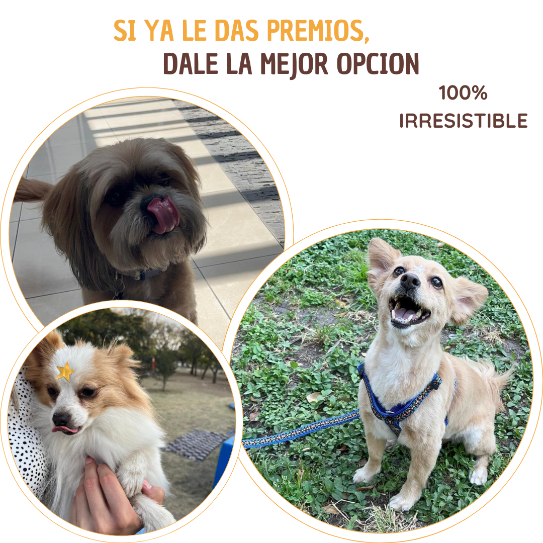 Charal deshidratado para perro