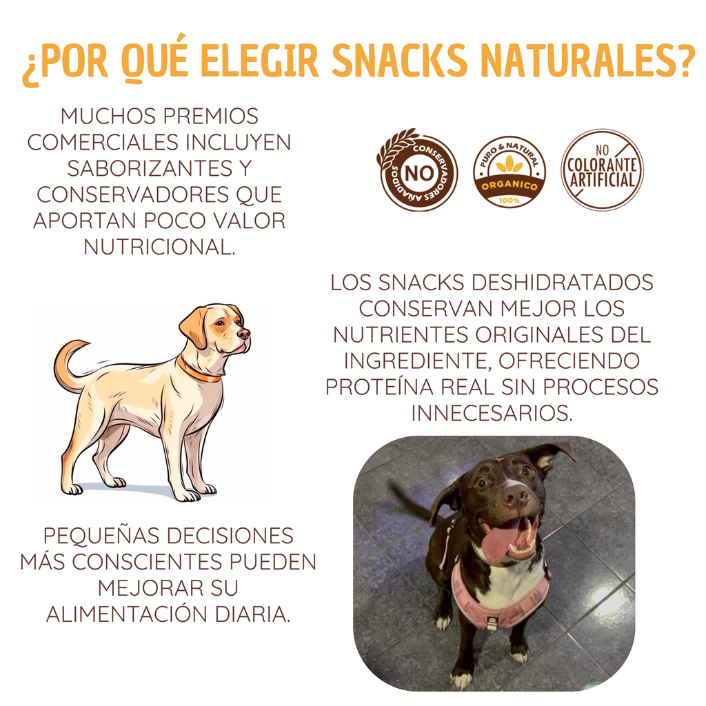 Kit El mas FIT - Snack sin grasas