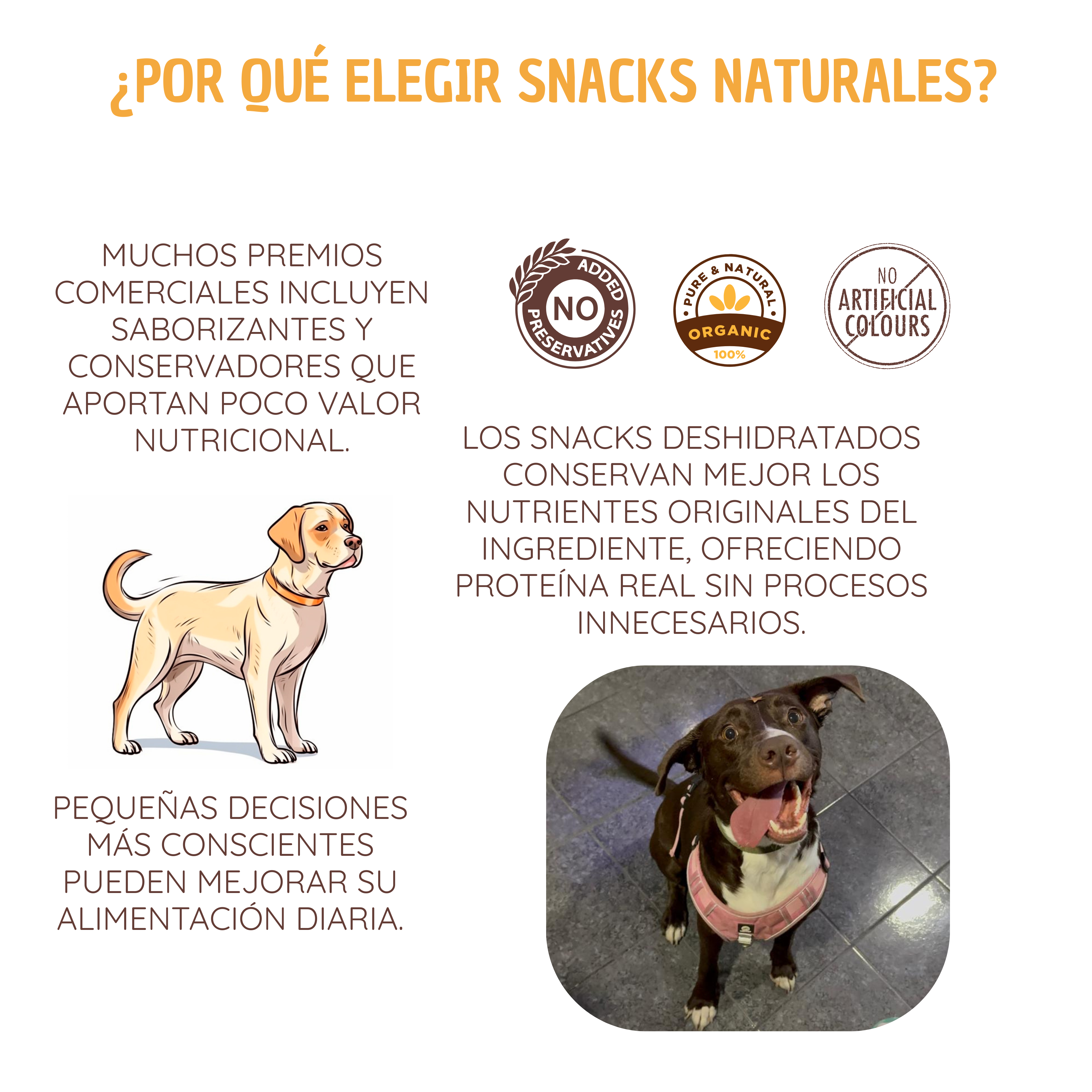 Kit Pelo Brillante y Sedoso - Snack pelo y piel perfecta para mascotas