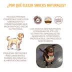 Kit de entrenamiento canino - Sin culpa