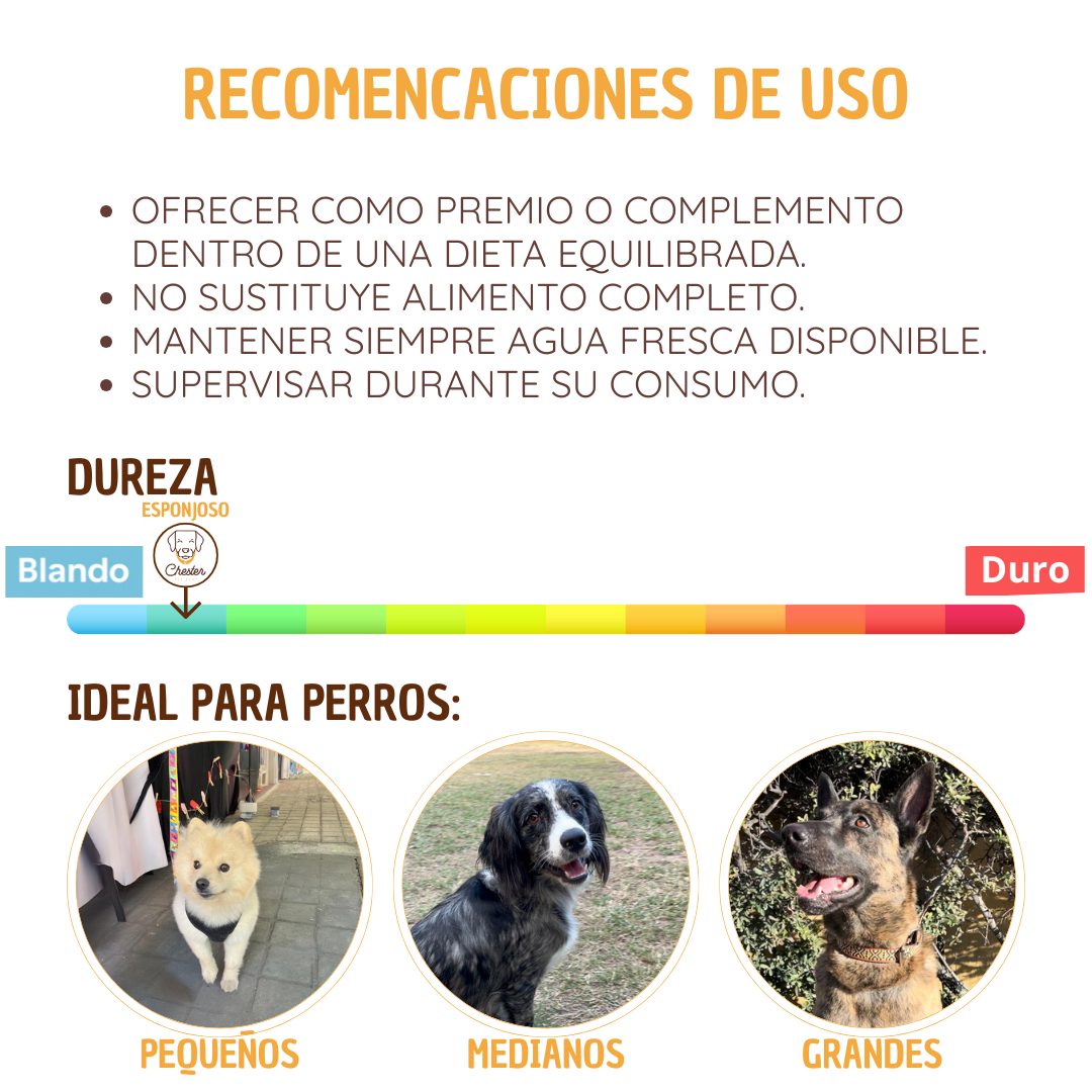Pulmon de res deshidratado