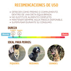 Kit de entrenamiento canino - Sin culpa