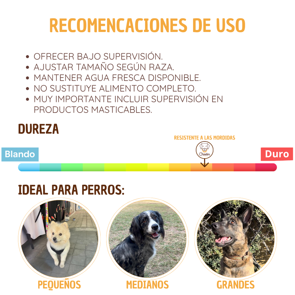 Traquea de res deshidratada