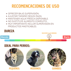 Traquea de res deshidratada