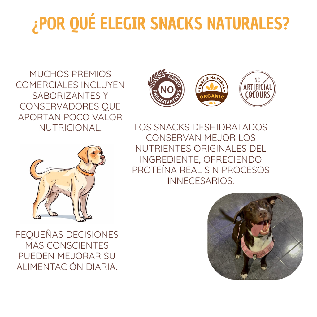 Higado de res deshidratado