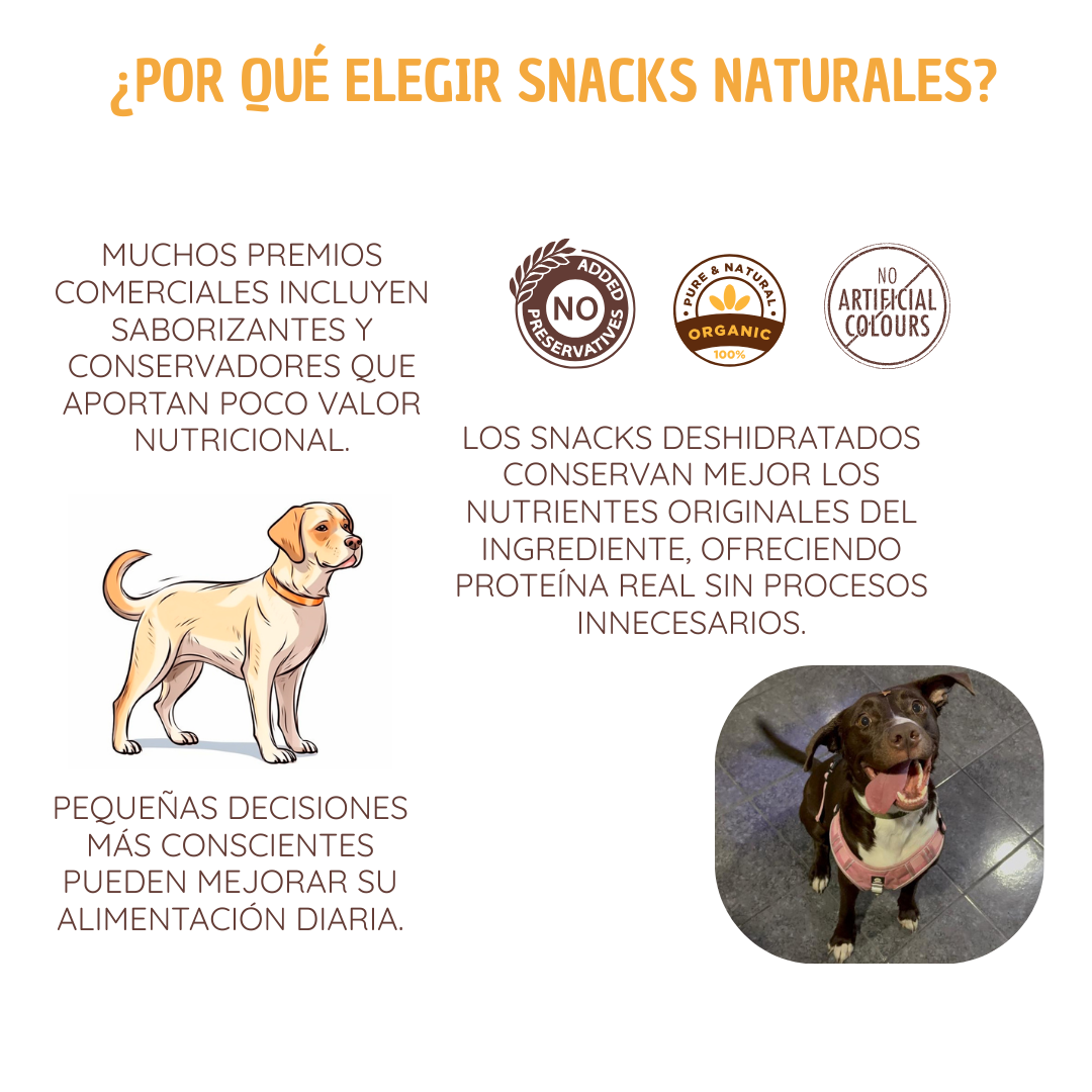 Higado de res deshidratado
