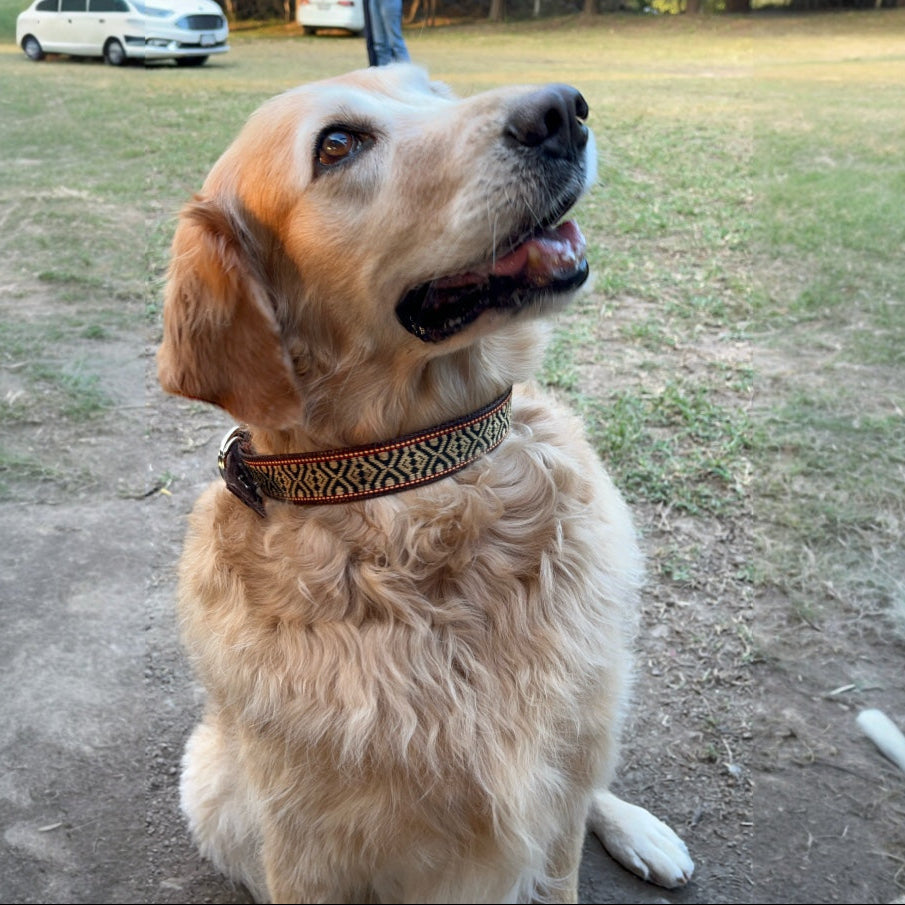 Collar huichol Café