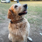 Collar huichol Café