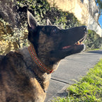 Collar Huichol Naranja