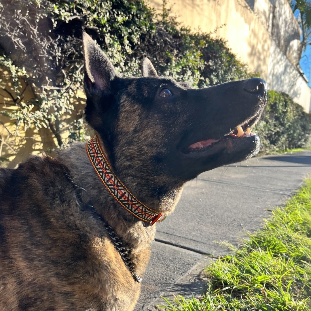 Collar Huichol Naranja