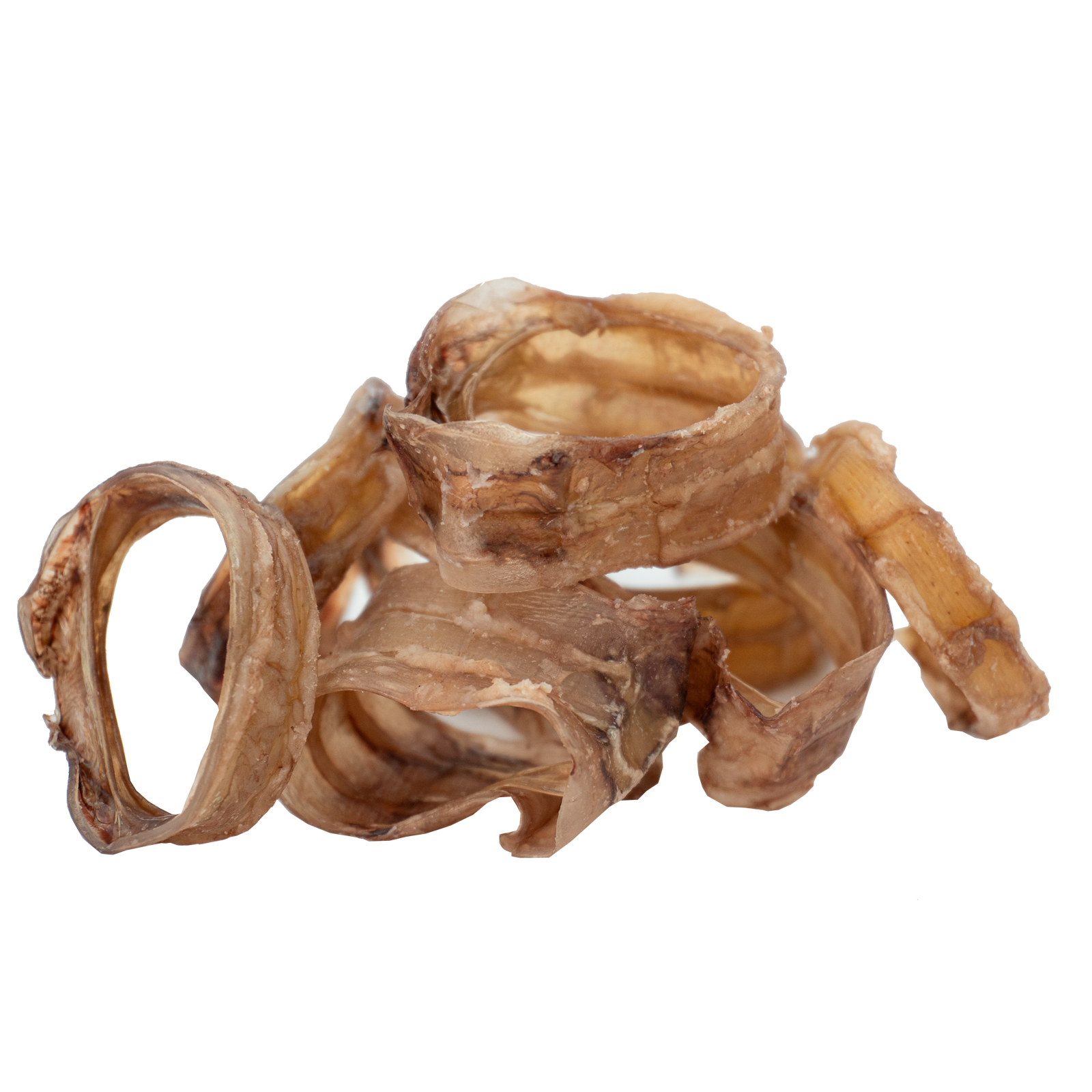 Traquea de res deshidratada