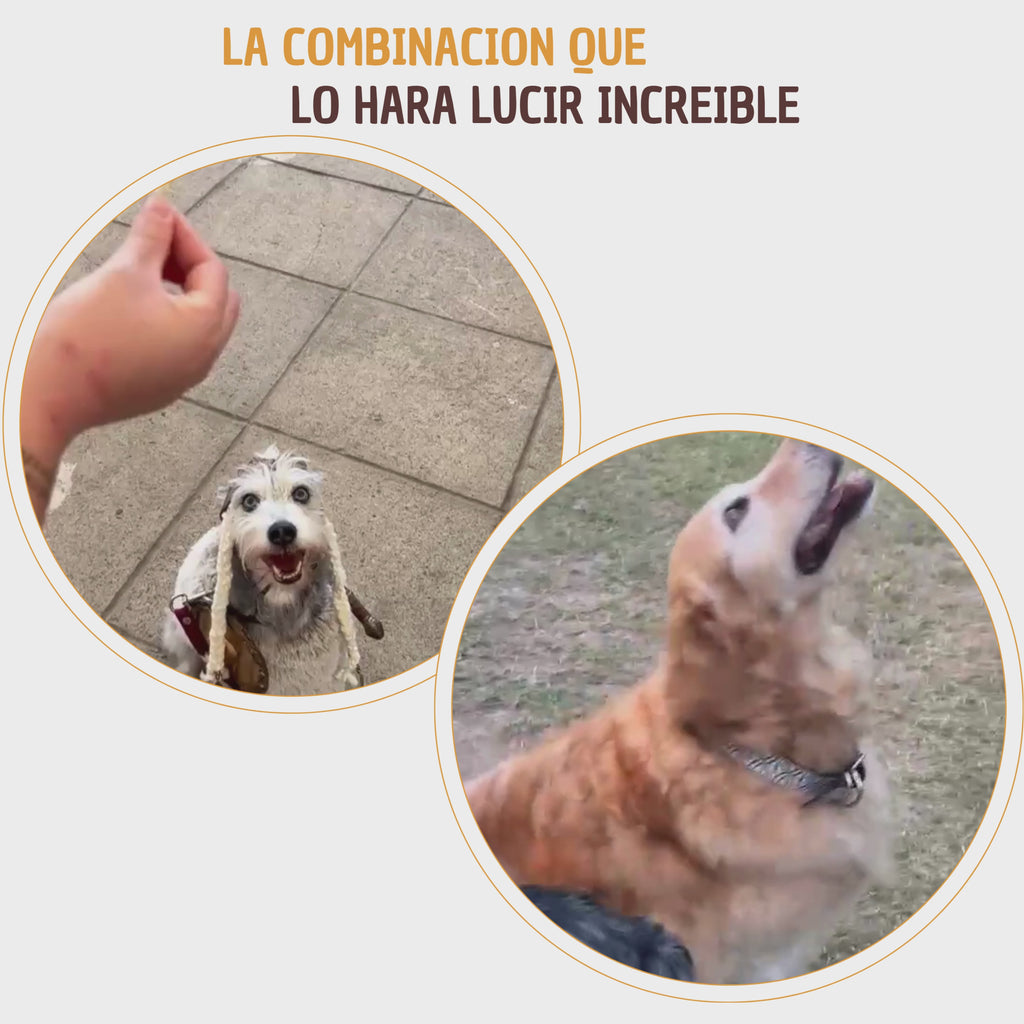 Kit Pelo Brillante y Sedoso - Snack pelo y piel perfecta para mascotas