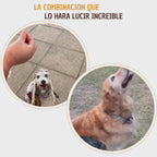 Kit Pelo Brillante y Sedoso - Snack pelo y piel perfecta para mascotas