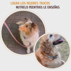 Kit de entrenamiento canino - Sin culpa