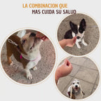 Kit Mi Primer Snack - Snack Especial Cachorros