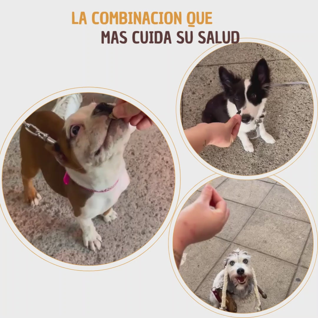 Kit Mi Primer Snack - Snack Especial Cachorros