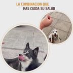 Kit El mas FIT - Snack sin grasas