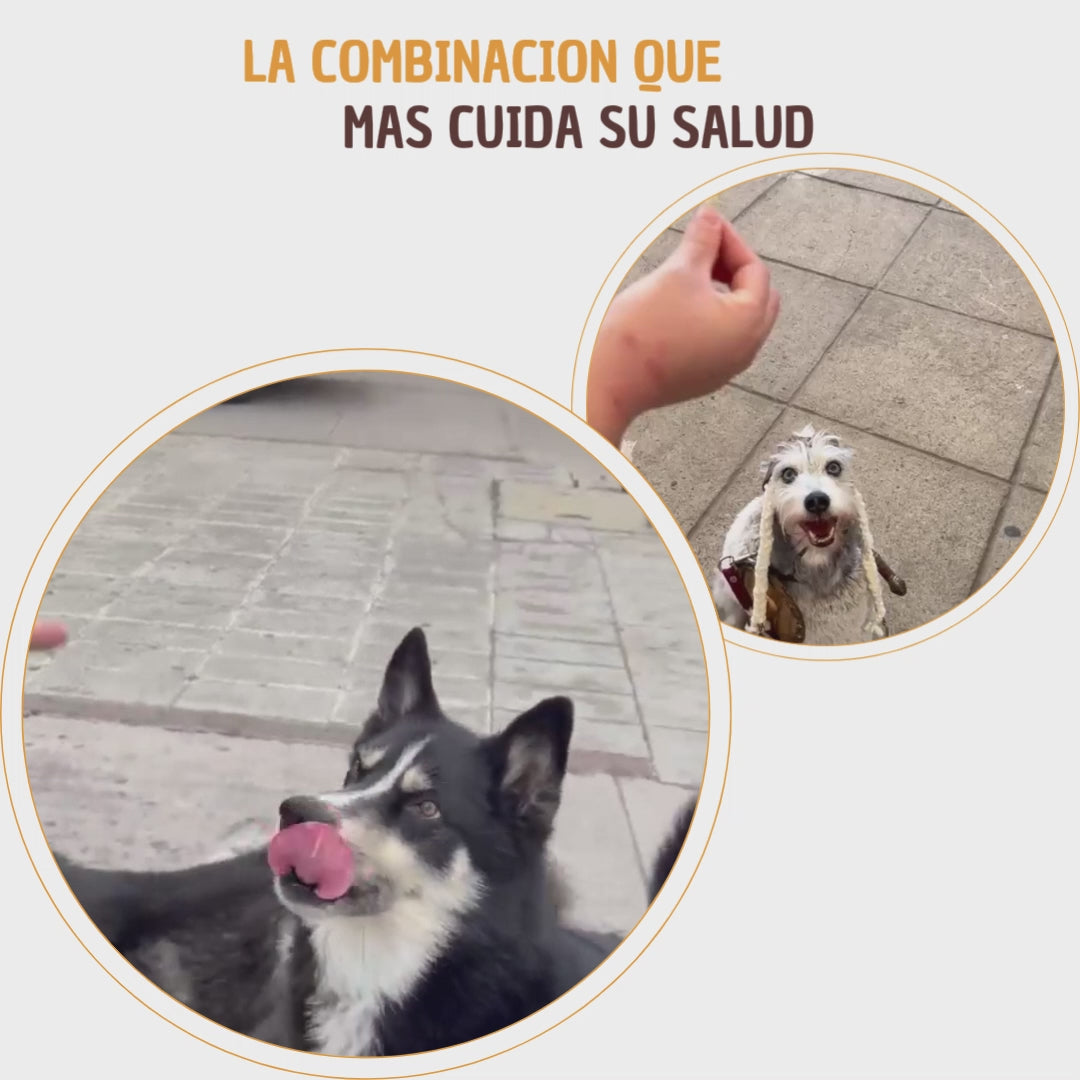 Kit El mas FIT - Snack sin grasas